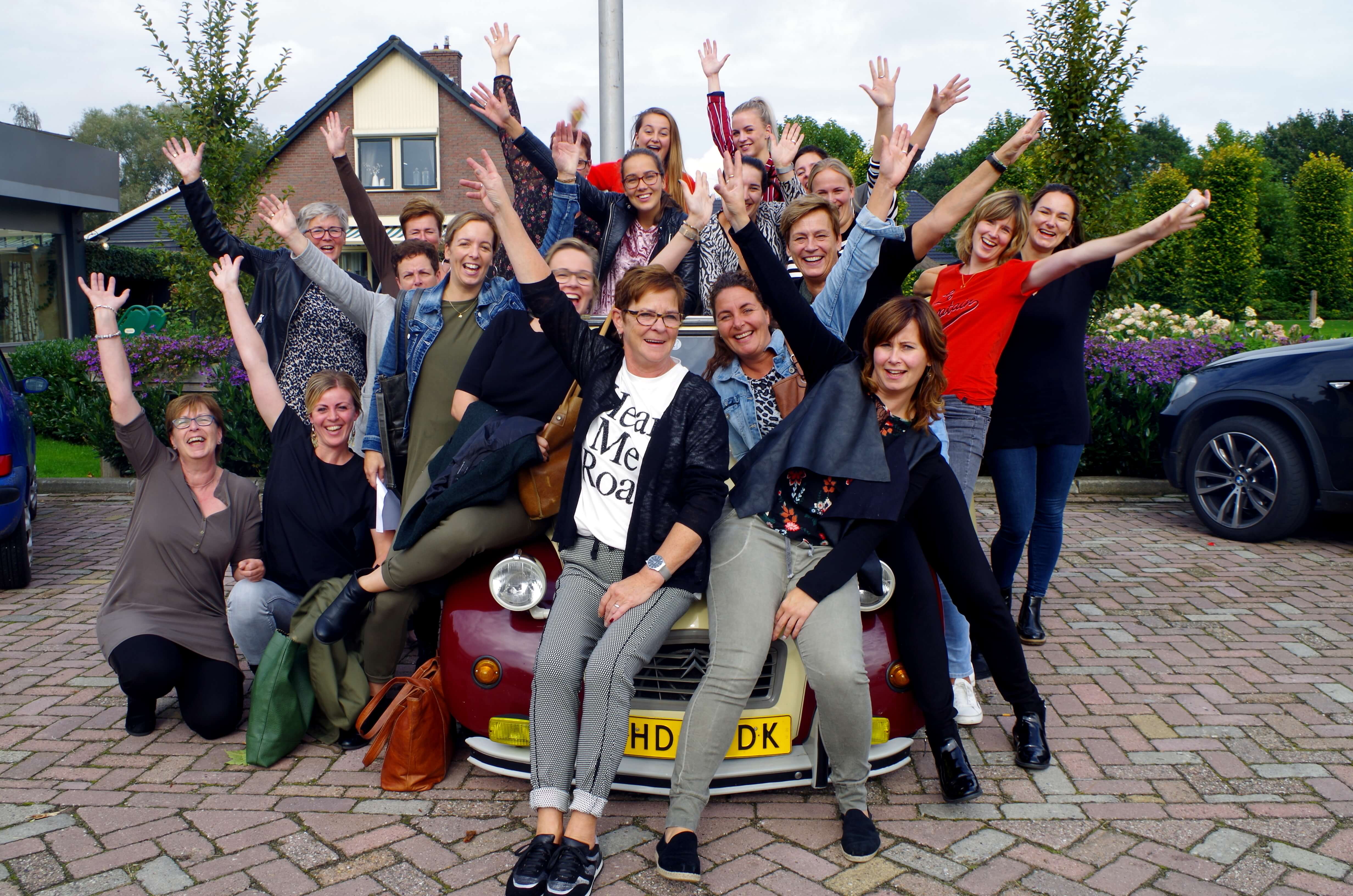 Lelijke eend verhuur