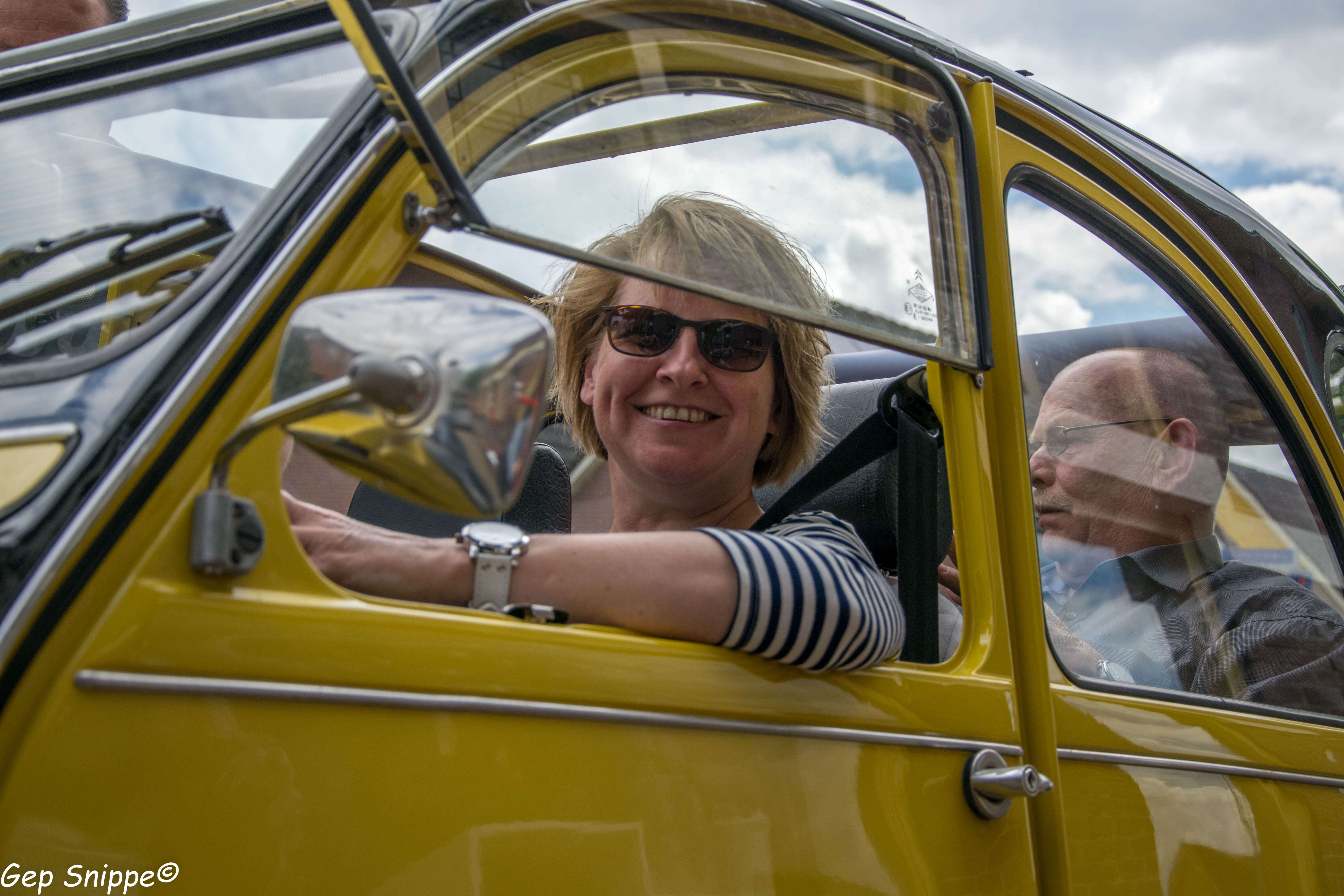 Lelijke eend verhuur