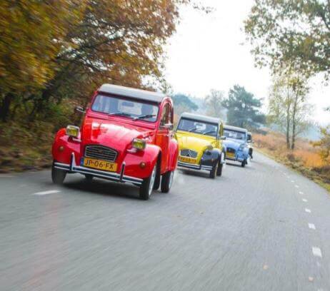 Lelijke eend verhuur